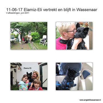 Elamiz-Eli vertrekt maar blijft wel in Wassenaar
